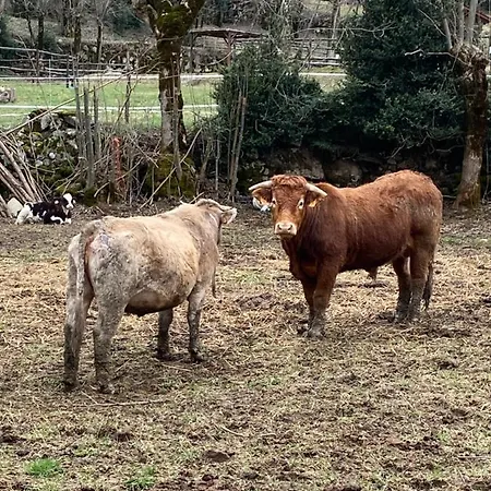 Check-in Casas Cumbre De Benasque *