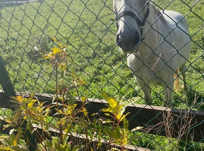 Lägenhet Check-in Casas Cumbre De Benasque Eriste