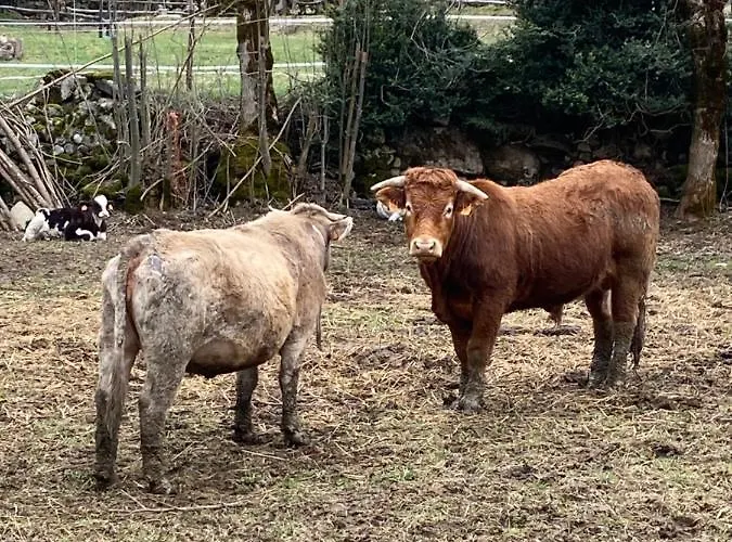 Check-in Casas Cumbre De Benasque *